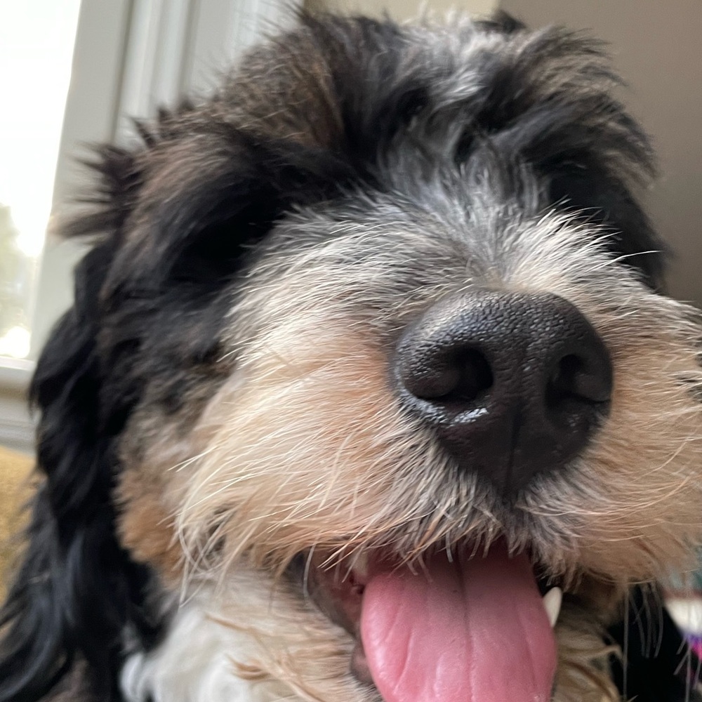 Meet your Posher, Ellie